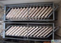 物美價廉，品質無憂 來自世界工廠網的優良柴雞蛋